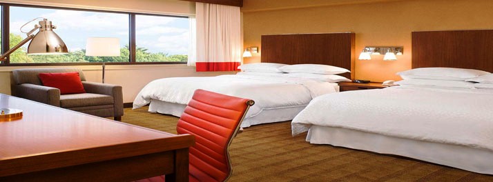 2427/Four Points by Sheraton Vadodara - 09.jpg